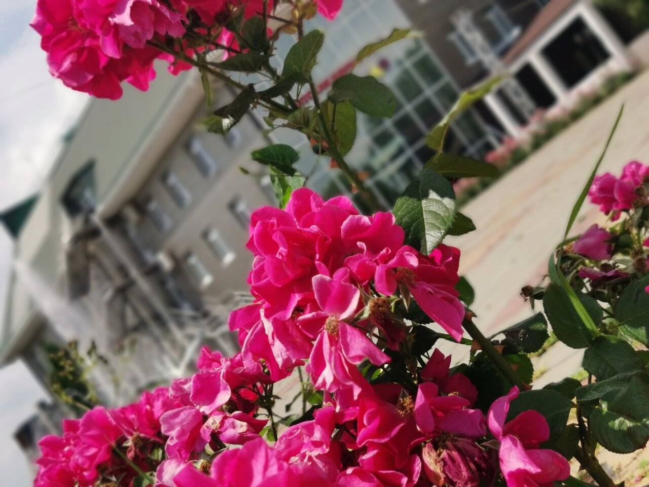 Фото Парк-Отеля Уют Славянск-на-Кубани 120